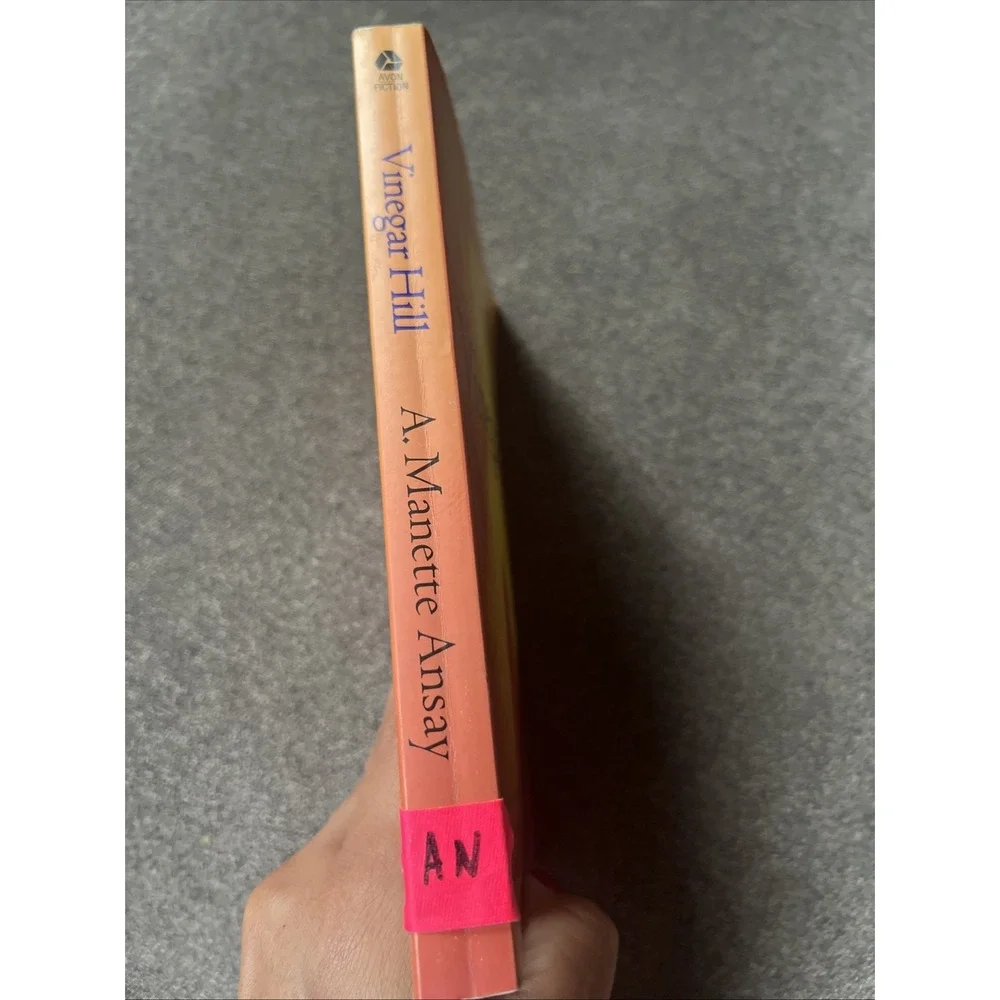 Vtg 1998 Vinegar Hill A Manette Ansay Oprahs Book Club Paperback Novel Avon